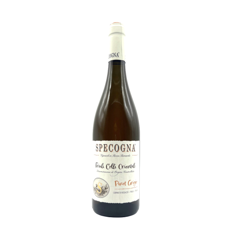 Pinot Grigio - Specogna