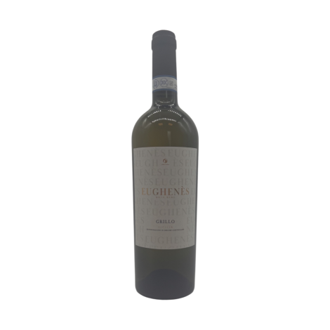 Eugehenes_Grillo